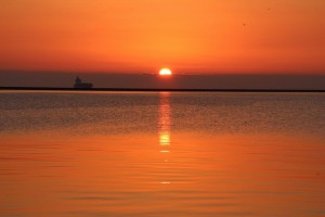 IMG_4253x1000