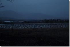 IMG_4577 IMG_4577